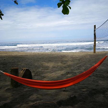 Perla Negra Beach Front Hotel Puerto Viejo de Talamanca Exterior foto