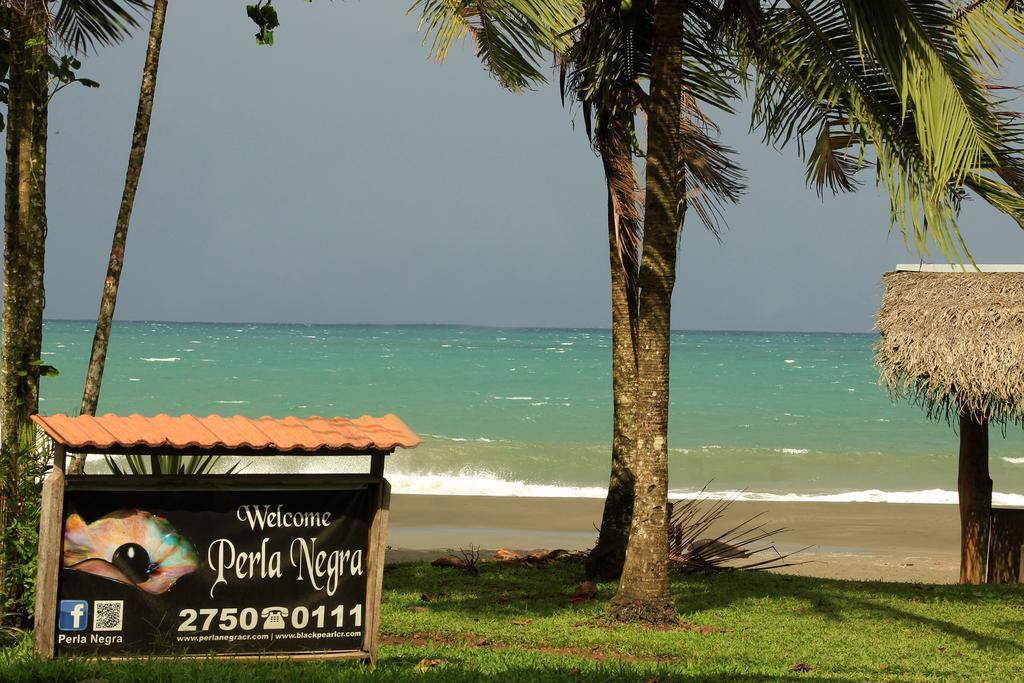 Perla Negra Beach Front Hotel Puerto Viejo de Talamanca Exterior foto