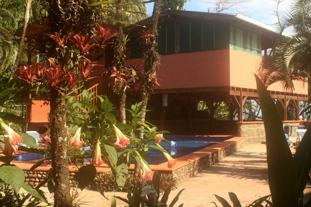 Perla Negra Beach Front Hotel Puerto Viejo de Talamanca Exterior foto