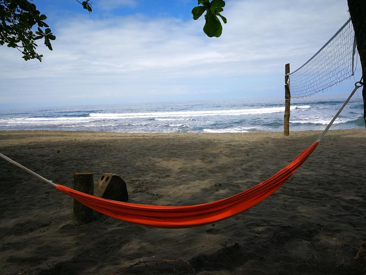 Perla Negra Beach Front Hotel Puerto Viejo de Talamanca Exterior foto